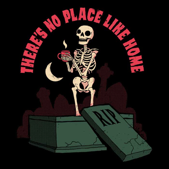 Ultra - Soft 'There's No Place Like Home' Fleece Blanket from DinoMike