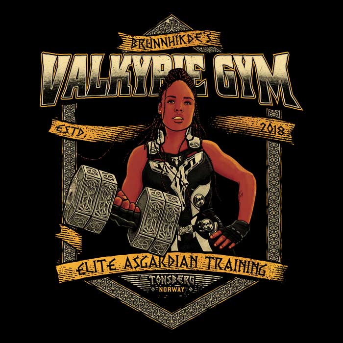 Valkyrie Gym Premium Fleece Blanket for Comfort and Warmth