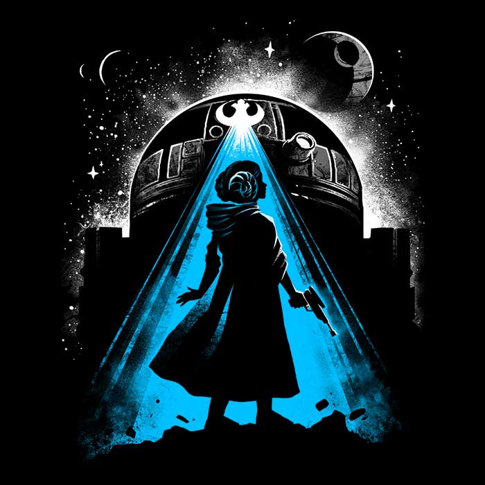 The Fleece Blanket of The Rebel Princess