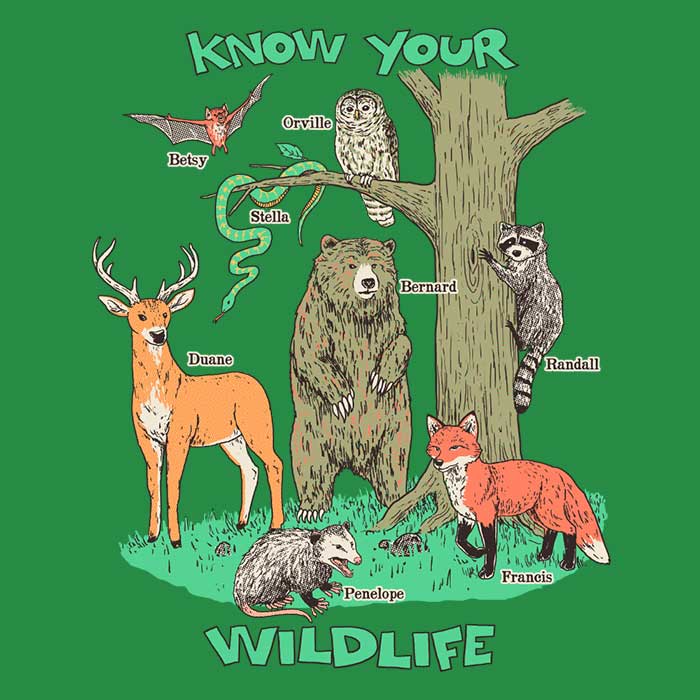 Know Your Wildlife - High - Quality Polyester Fleece Blanket for Cozy Moments
